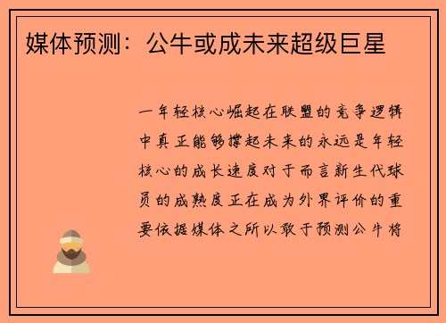 媒体预测：公牛或成未来超级巨星