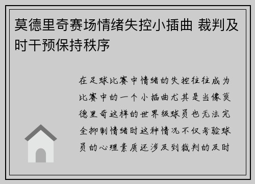 莫德里奇赛场情绪失控小插曲 裁判及时干预保持秩序